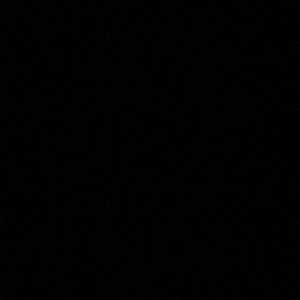 Meet your Posher, Will